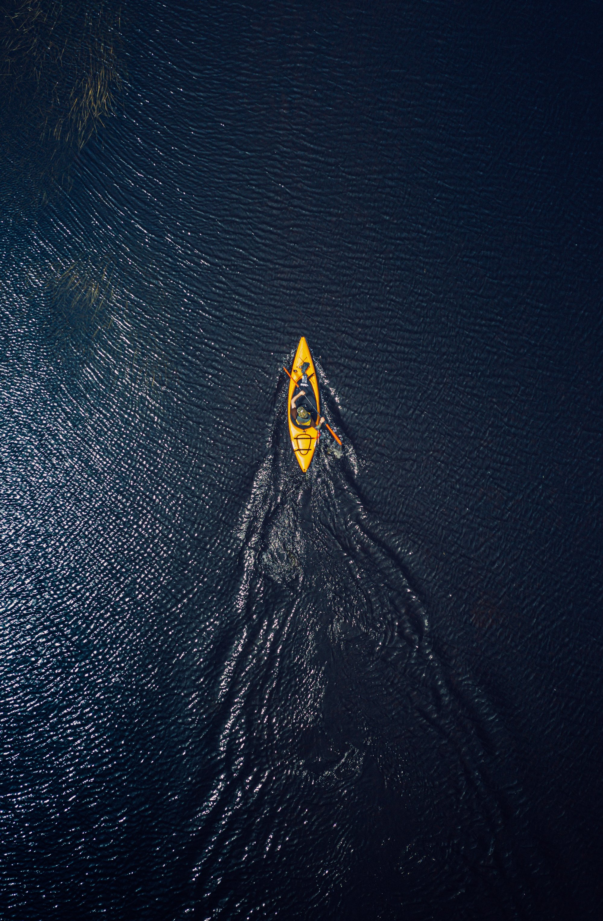 tim-foster-osDUe-m4ZcY-unsplash