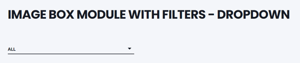 filter-dropdown