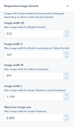 performance-image-variants-settings
