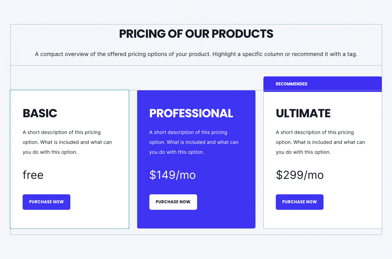 website layout with three pricing plans